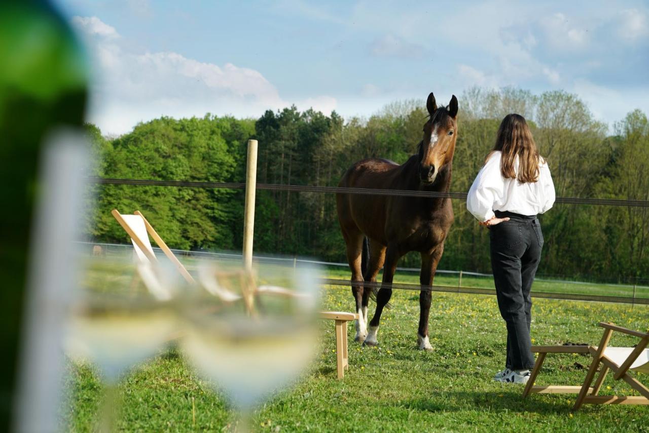 Вилла Tiny House Centre Equestre - 35 Mins De Paris Шамбли Экстерьер фото